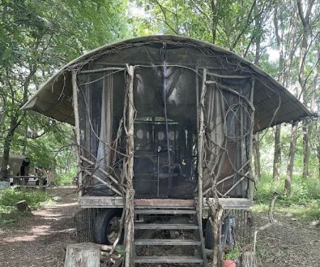Farm to Folklore