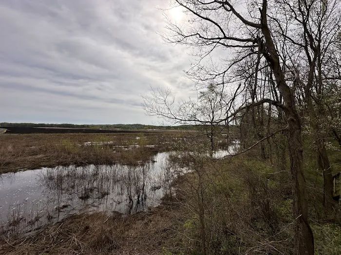 Prophetstown State Park Campground 9