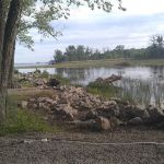 Potters North Campground
