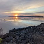 River Birch Campground