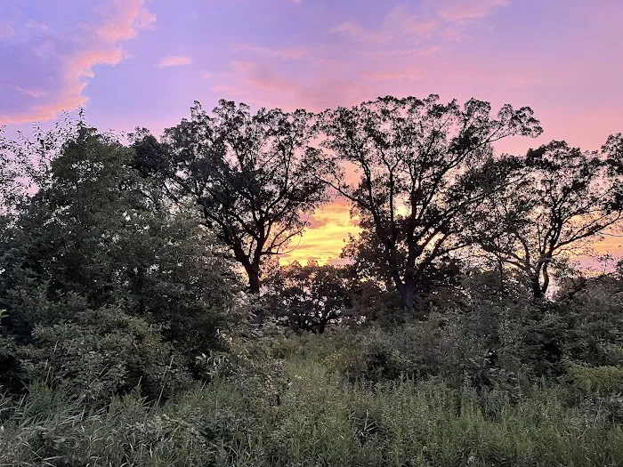 Sandhill Station Campground 4