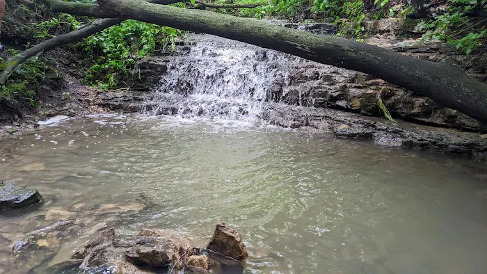 Hickory Hill Campground 4