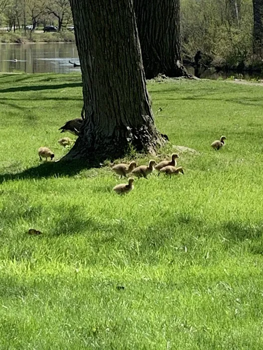 Babcock County Park Campground 4