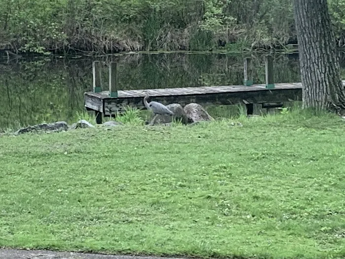 Babcock County Park Campground 3