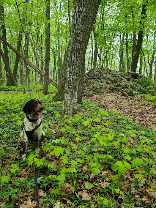 Blue Mound Campground 1