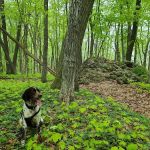 Blue Mound Campground