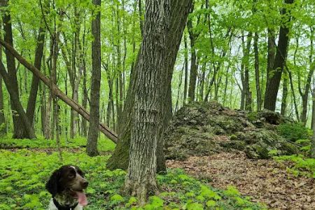 Blue Mound Campground