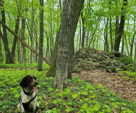 Blue Mound Campground