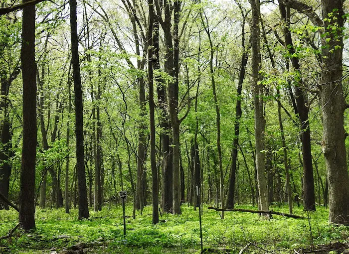 Marshall State Fish and Wildlife Area. 9