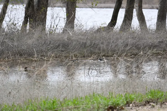 Marshall State Fish and Wildlife Area. 2