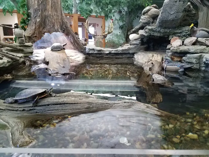 Rock Creek Marina & Campground 5
