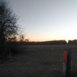 Niles Pines Estates