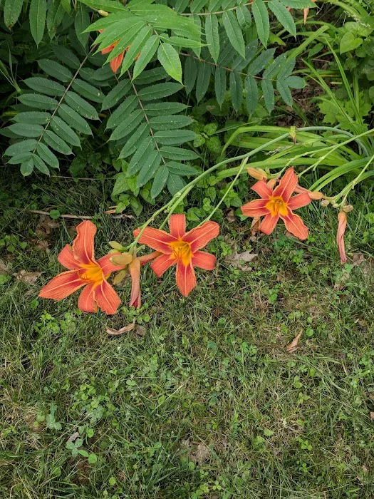 Kentuckiana Kampground 10
