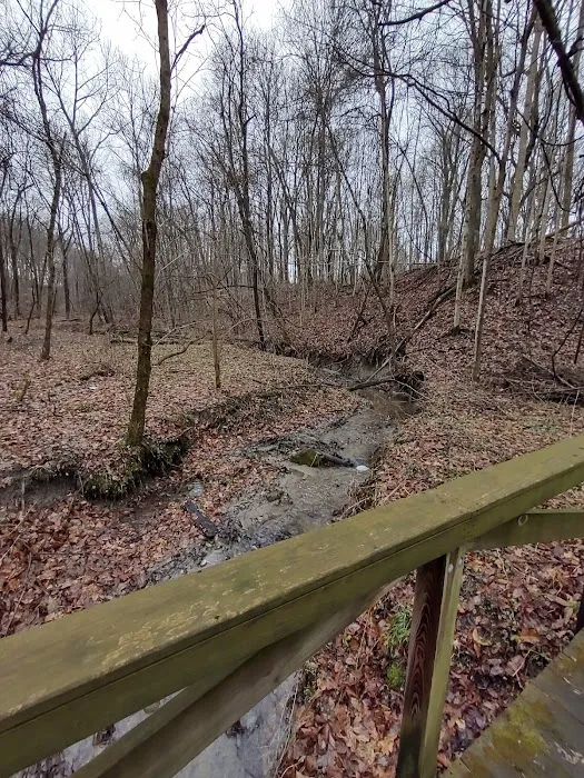 Camp Cullom 5