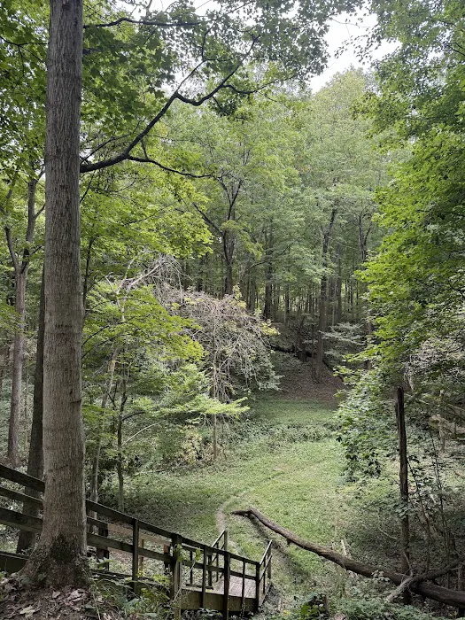 Camp Cullom 2
