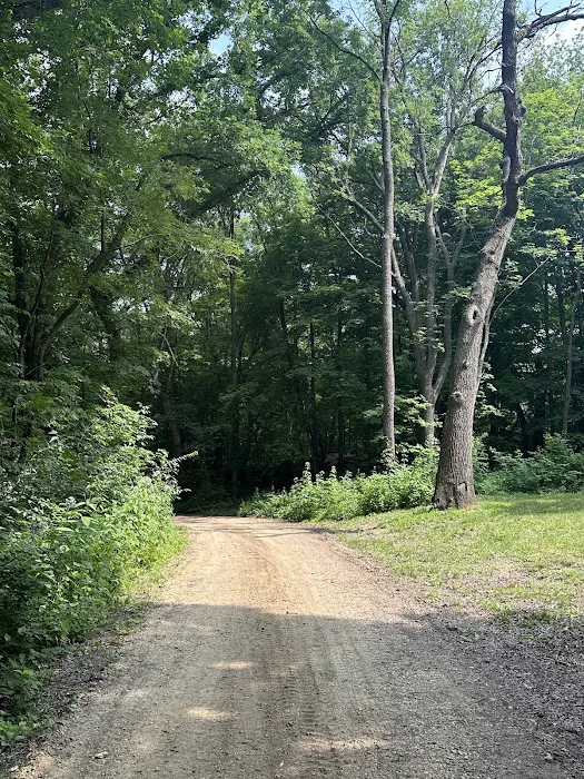 Camp Miss-Elk-Ton 3