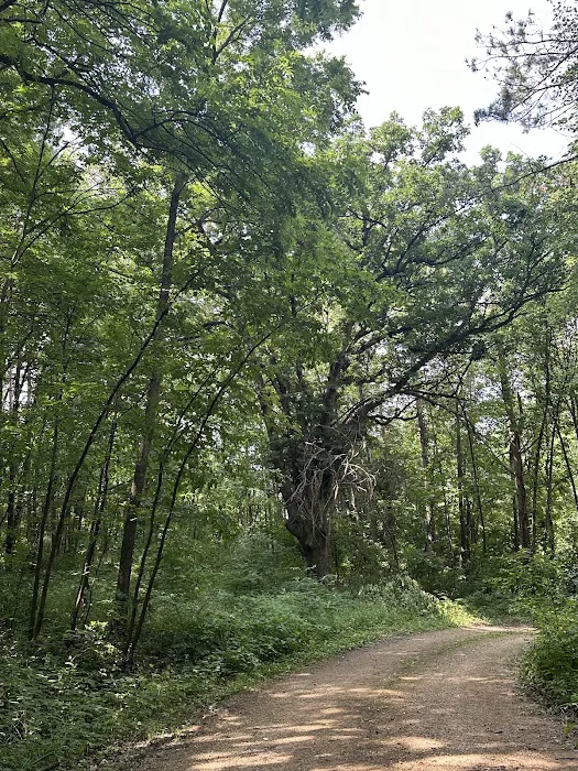 Camp Miss-Elk-Ton 8