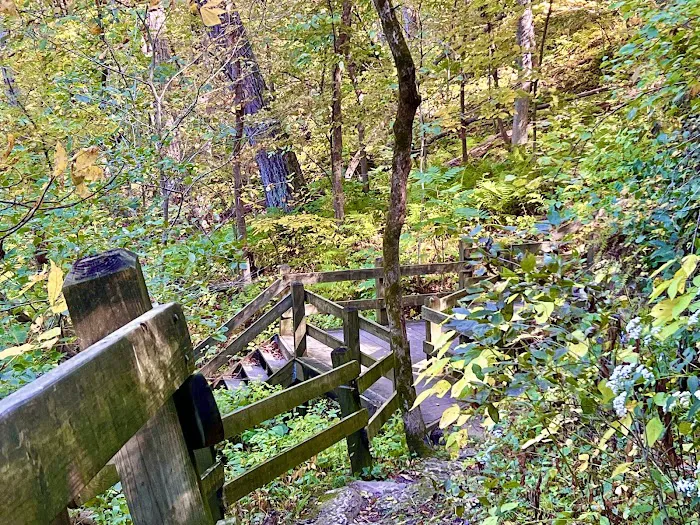 Mississippi Palisades State Park Campground 3