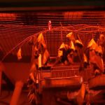 Mayfair Village Mobile Home Crt