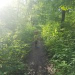 Pike Lake State Park Campground