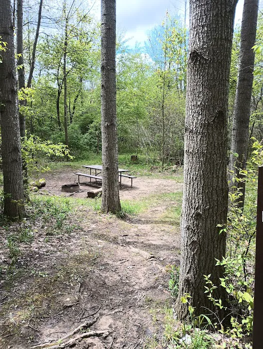 Pike Lake Backpacking Campsites 8