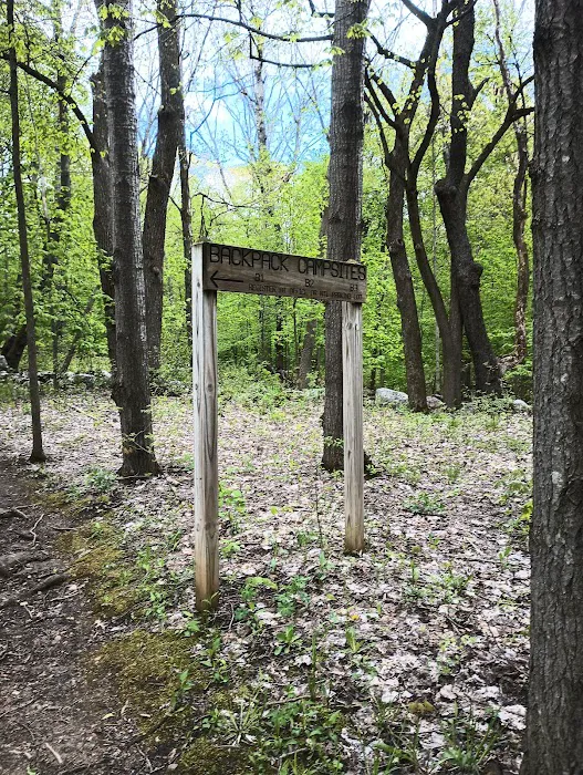 Pike Lake Backpacking Campsites 7