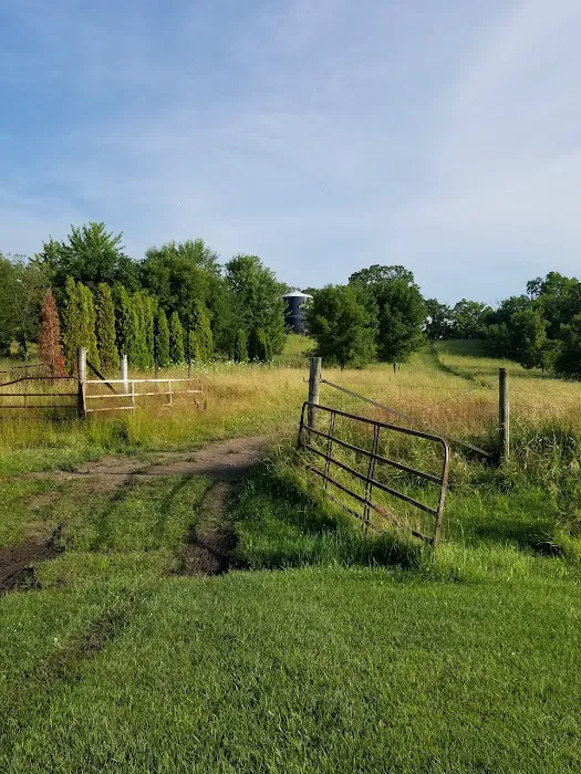 Linden Campground 9
