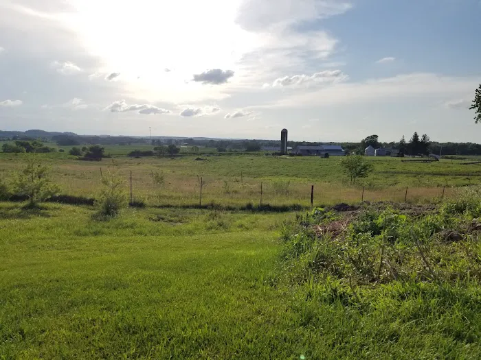 Linden Campground 4