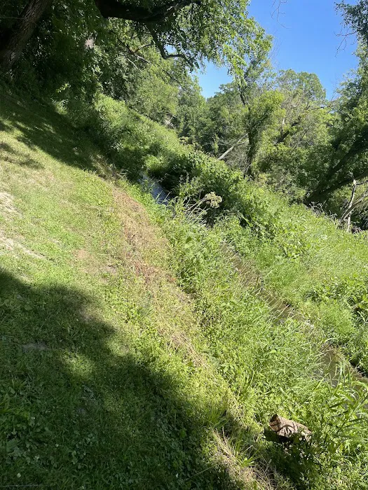 Apple Canyon Lake Campground 8