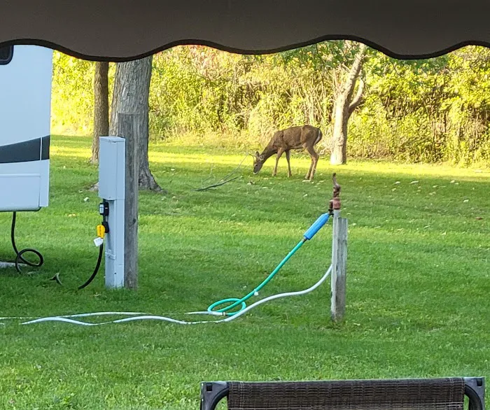 Bald Eagle Campground 8
