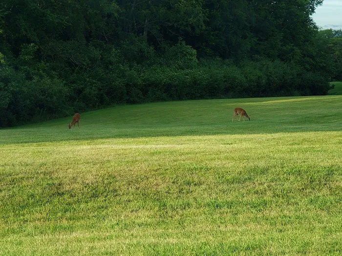 Pine Grove Campground 9