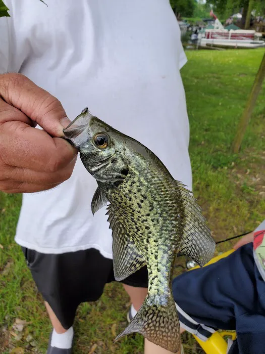 Camp and Fish LLC 7