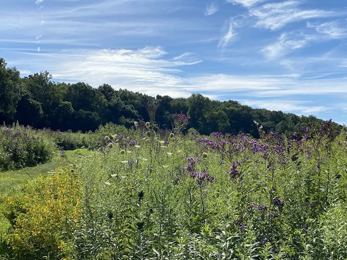 Walnut Valley Realm Campground 9
