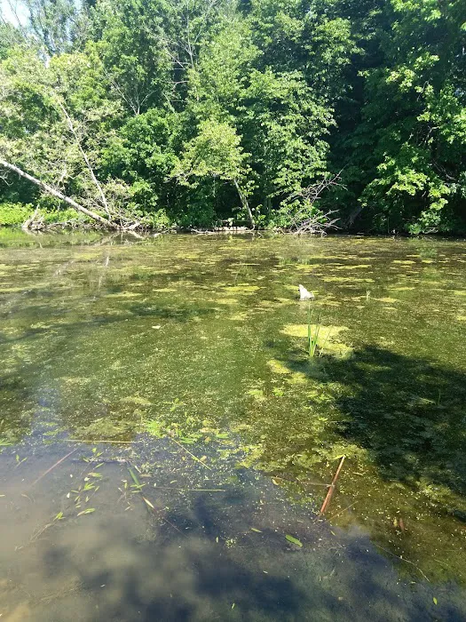 Lake Waveland 9