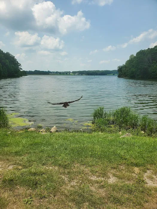 Lake Waveland 6