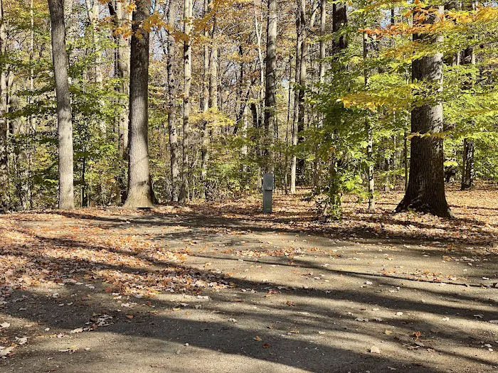 Turkey Run State Park Campground 6