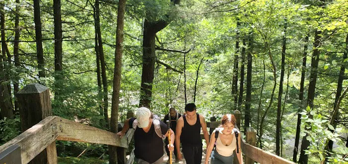 Turkey Run State Park Campground 9