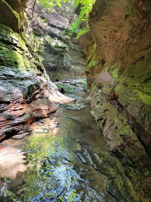 Turkey Run State Park Campground 7