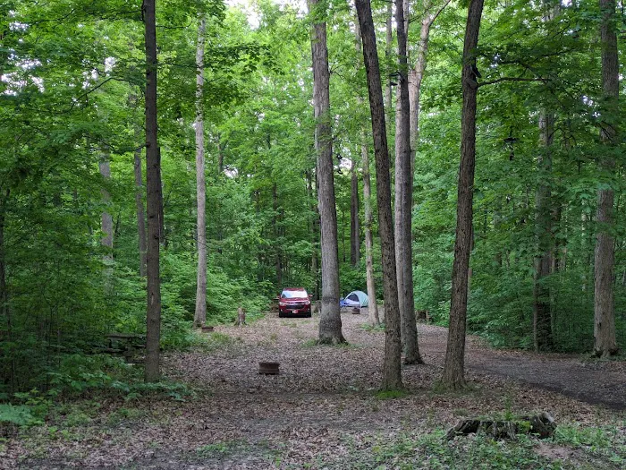Turkey Run Canoe & Camping 2