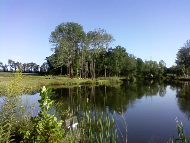 Peaceful Waters Campground 4