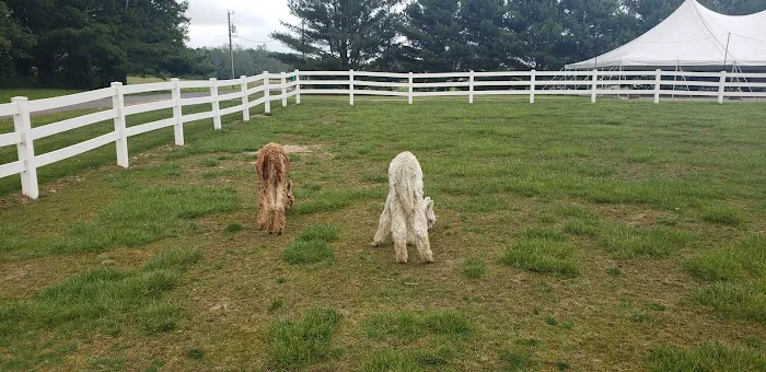 Heritage Farm Stay Adventure 6