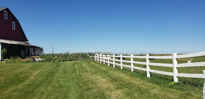 Heritage Farm Stay Adventure 8