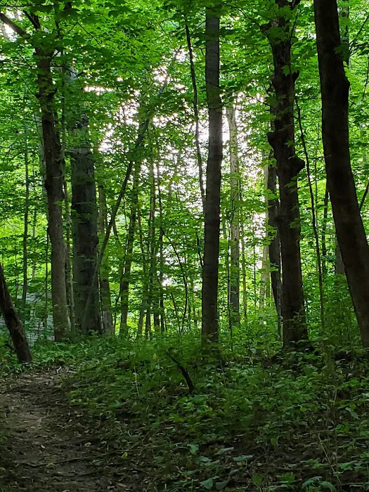 Timber Trail Camp Ground 9