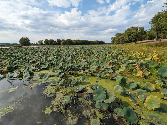 Blanding Landing Recreation Area 8