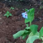 Woodland Terrace Mobile Home Park