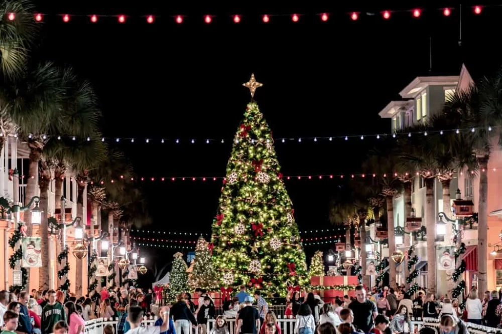 Christmas in Florida Family Travel Guide: Top Tips and Destinations for an Unforgettable Holiday
