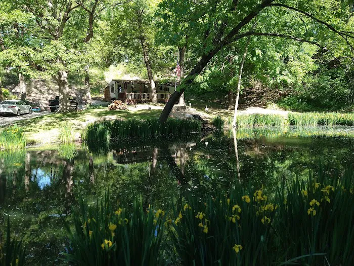 Gamber Cove Campground 7