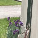 Shady Lanes Mobile Home Park