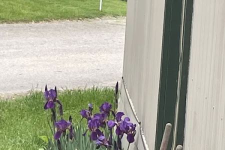 Shady Lanes Mobile Home Park