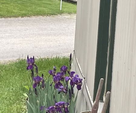 Shady Lanes Mobile Home Park